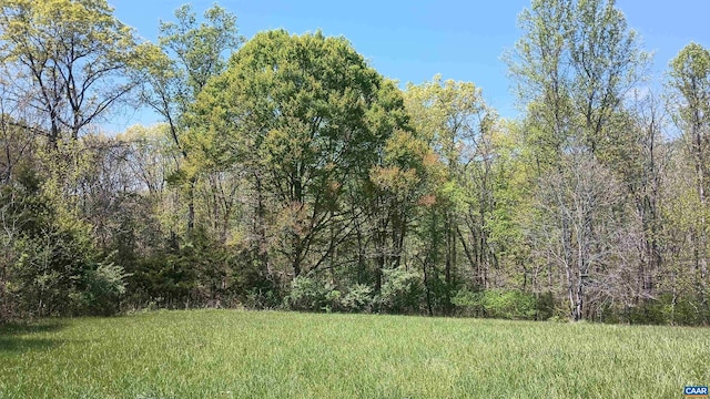 983 Williamstown Rd, Shipman, VA 22971 - view of yard with a wooded view