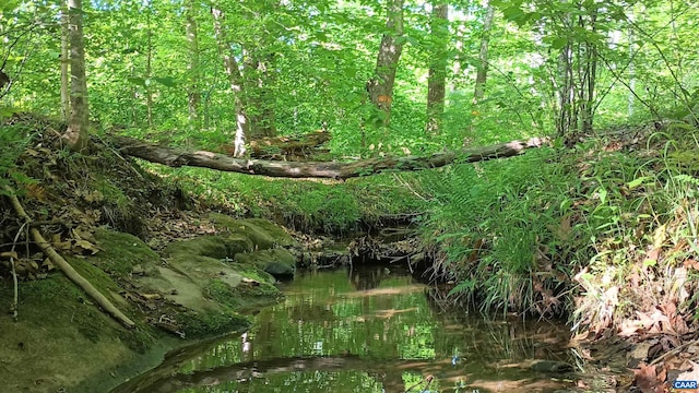 983 Williamstown Rd, Shipman, VA 22971 - view of nature