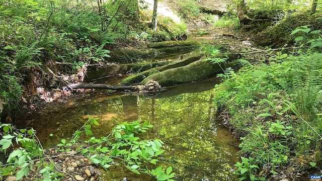 983 Williamstown Rd, Shipman, VA 22971 - view of undeveloped land