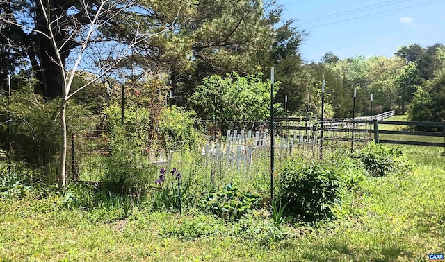 983 Williamstown Rd, Shipman, VA 22971 - view of yard featuring fence and a wooded view