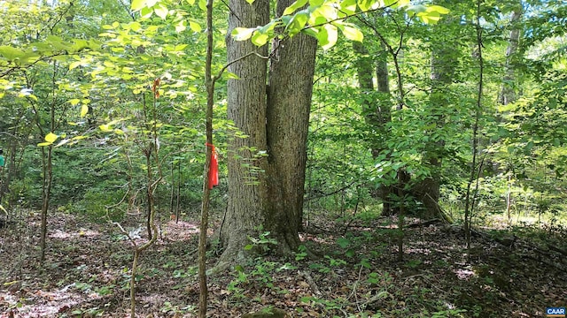 983 Williamstown Rd, Shipman, VA 22971 - view of woods