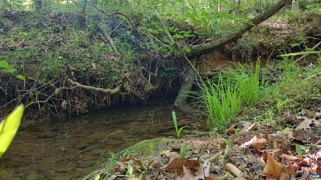983 Williamstown Rd, Shipman, VA 22971 - view of nature
