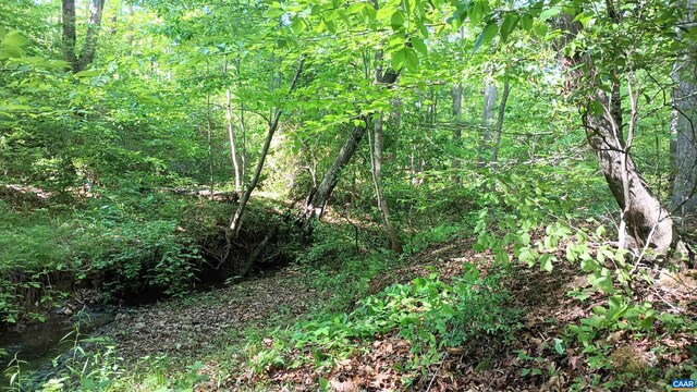 983 Williamstown Rd, Shipman, VA 22971 - view of woods