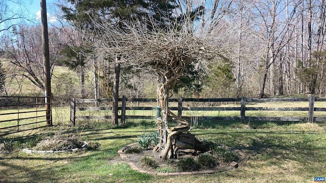 983 Williamstown Rd, Shipman, VA 22971 - view of yard