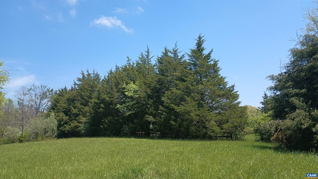 983 Williamstown Rd, Shipman, VA 22971 - view of yard featuring a forest view