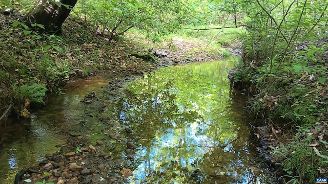 983 Williamstown Rd, Shipman, VA 22971 - view of undeveloped land