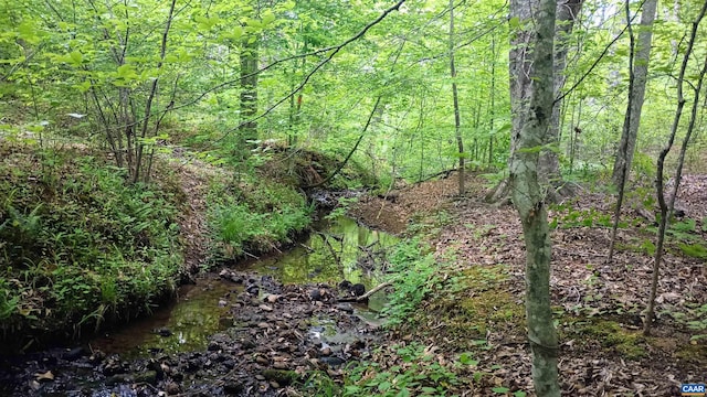 983 Williamstown Rd, Shipman, VA 22971 - view of wooded area