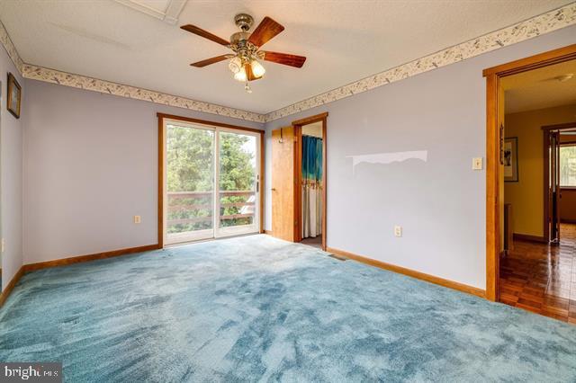 120 Big Oak Dr, Luray, VA 22835 - photo 28