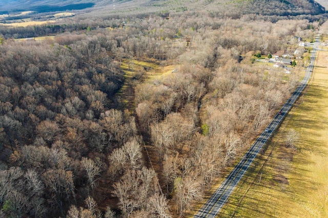 aerial view of a forest