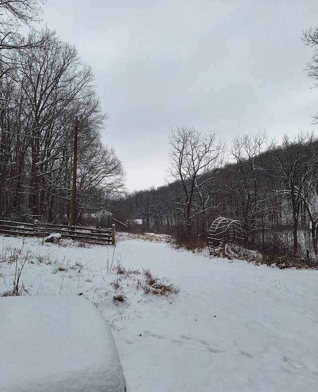 view of snowy yard