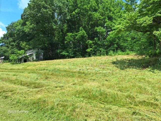 2219 Hewitt Rd, Swoope, VA 24479 - view of yard with a wooded view
