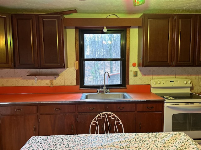 kitchen featuring white electric range oven and a sink