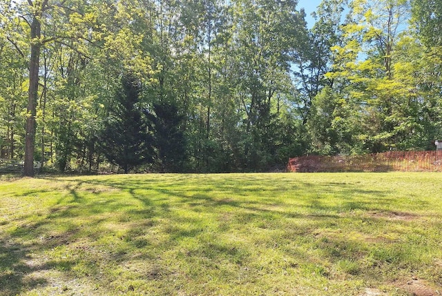 view of yard with a view of trees