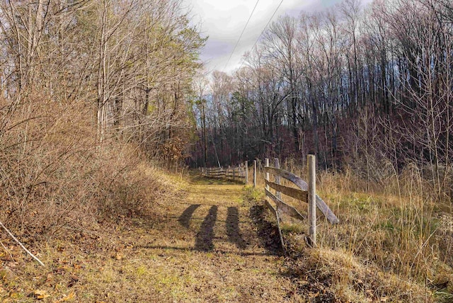 2219 Hewitt Rd, Swoope, VA 24479 - view of street featuring a wooded view