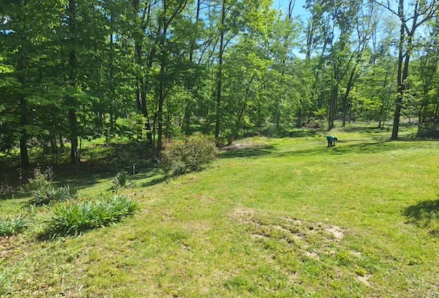view of grassy yard