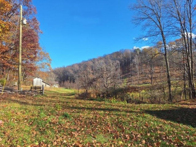 view of yard featuring a view of trees