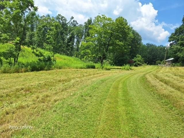2219 Hewitt Rd, Swoope, VA 24479 - view of grassy yard featuring a view of trees