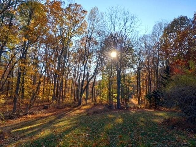 view of undeveloped land