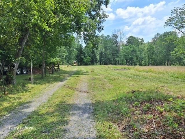 2219 Hewitt Rd, Swoope, VA 24479 - view of street