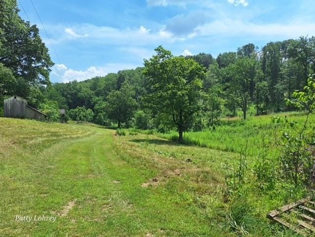 2219 Hewitt Rd, Swoope, VA 24479 - view of wooded area