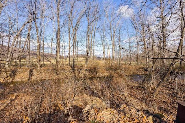 view of nature