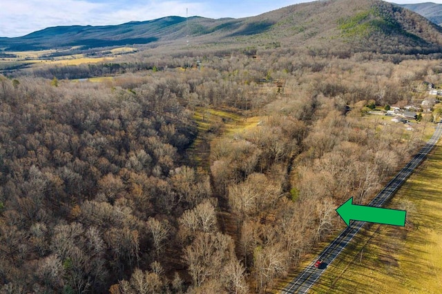 2219 Hewitt Rd, Swoope, VA 24479 - view of mountain backdrop featuring a forest
