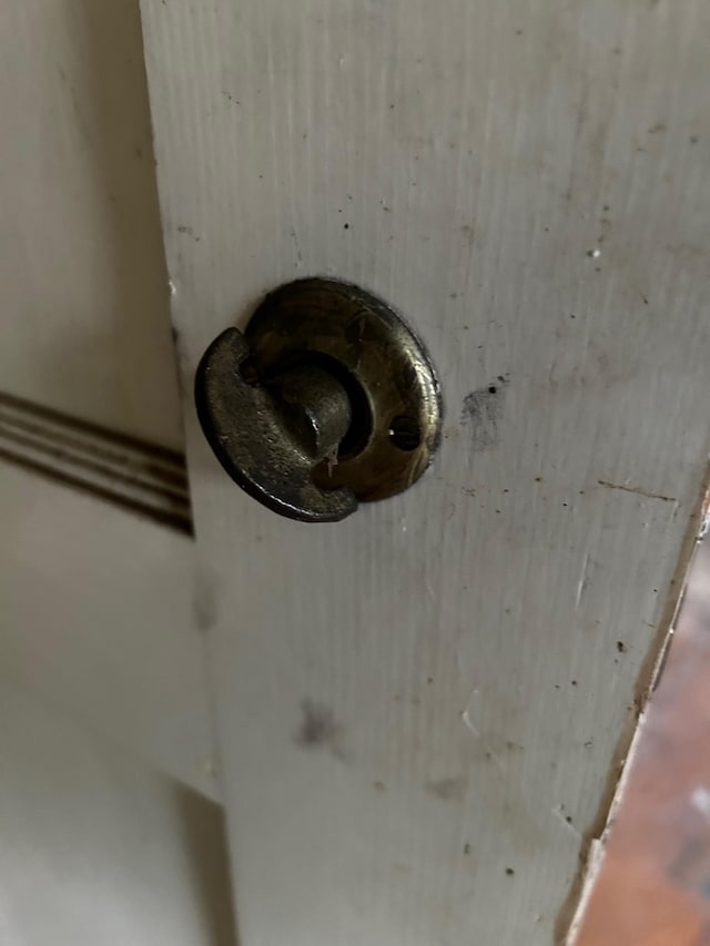 detailed view