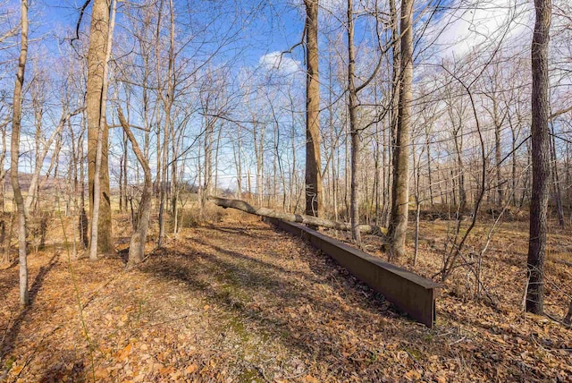 2219 Hewitt Rd, Swoope, VA 24479 - view of yard