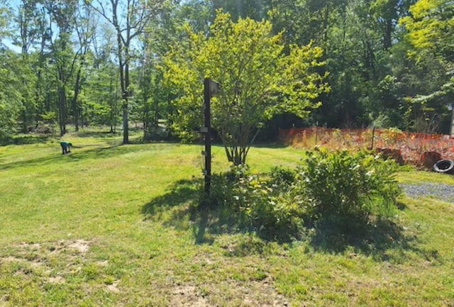 view of green lawn