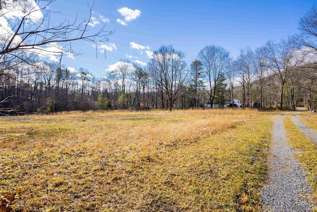 view of dirt / gravel road featuring a wooded view