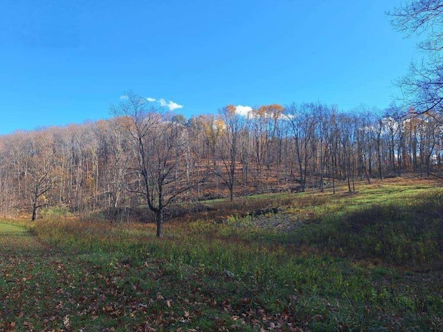 view of wooded area