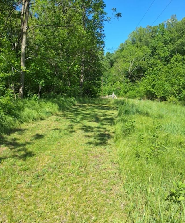 view of wooded area