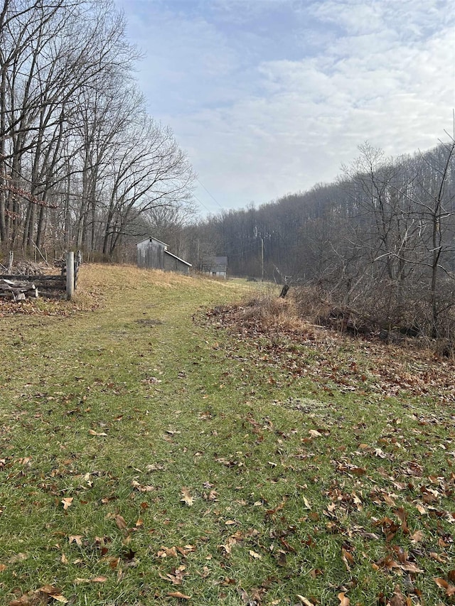 2219 Hewitt Rd, Swoope, VA 24479 - view of green lawn with a view of trees