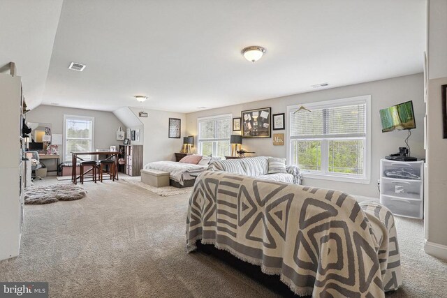 5761 Agecroft Rd, Spotsylvania, VA 22551 - living area with carpet, vaulted ceiling, and a desk