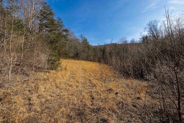 view of local wilderness featuring a view of trees