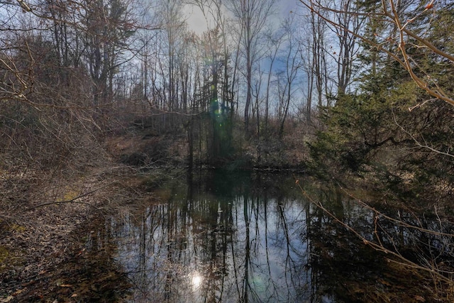 view of water feature with a forest view