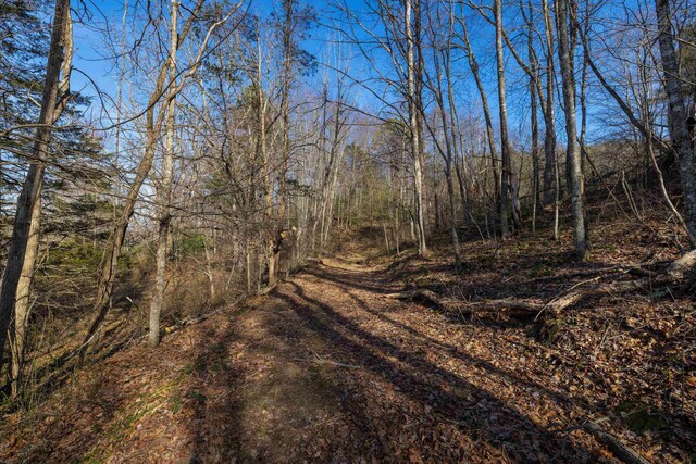 view of landscape with a forest view