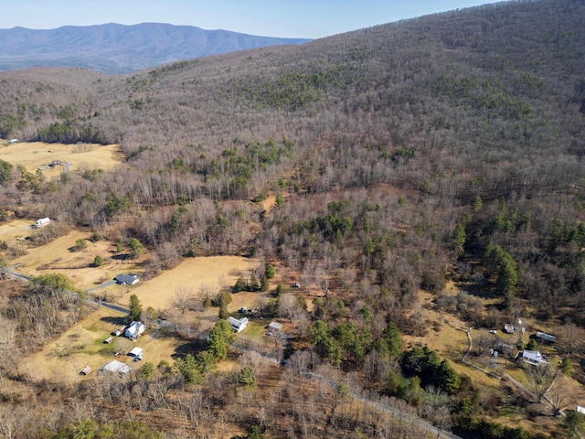 view of mountain feature featuring a forest view