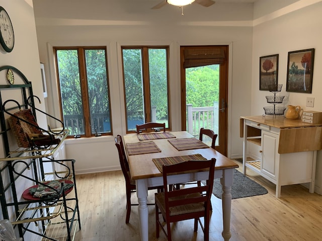 dining area with light hardwood / wood-style flooring and ceiling fan