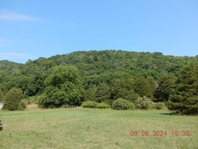 view of landscape with a rural view