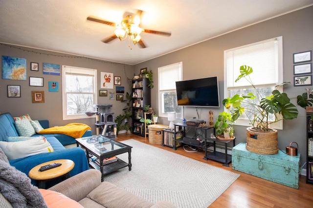 living room with wood-type flooring and ceiling fan