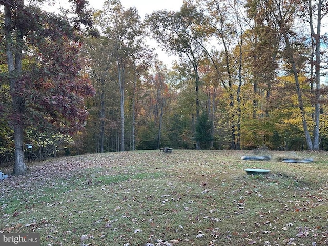 view of yard with a forest view