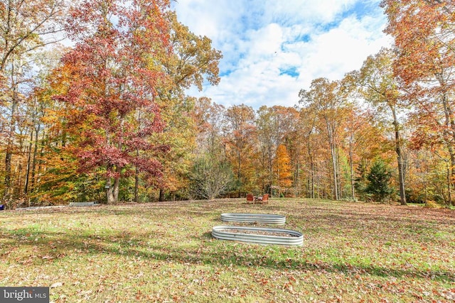 view of yard with a view of trees