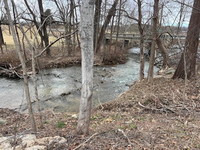 view of water feature