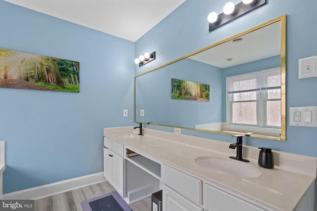 bathroom featuring double vanity, wood finished floors, baseboards, and a sink