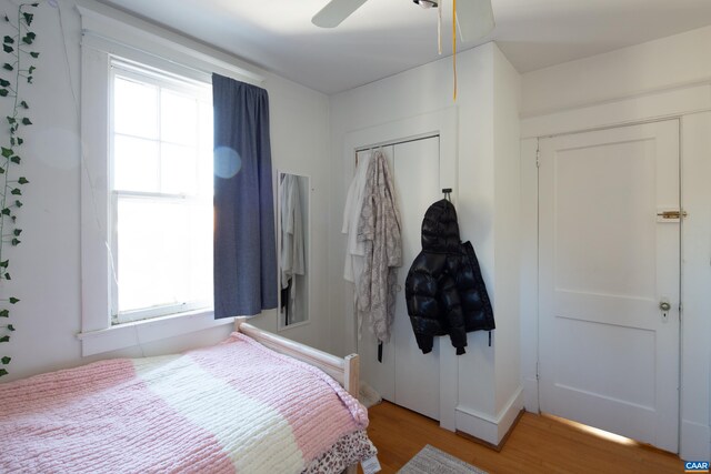 bedroom featuring multiple windows, a closet, ceiling fan, and light hardwood / wood-style flooring