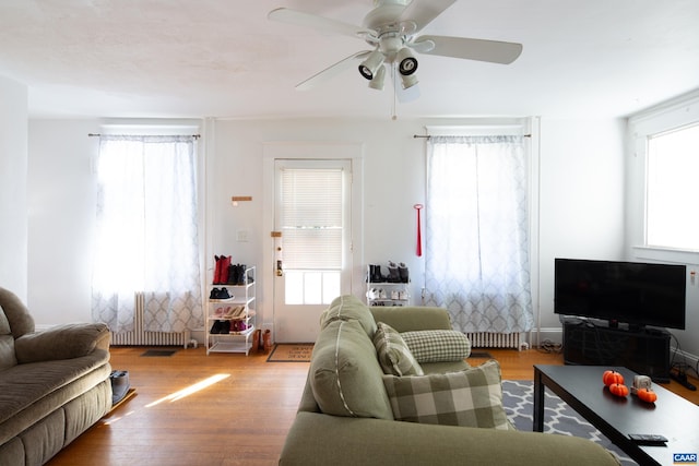 living room with ceiling fan and light hardwood / wood-style floors