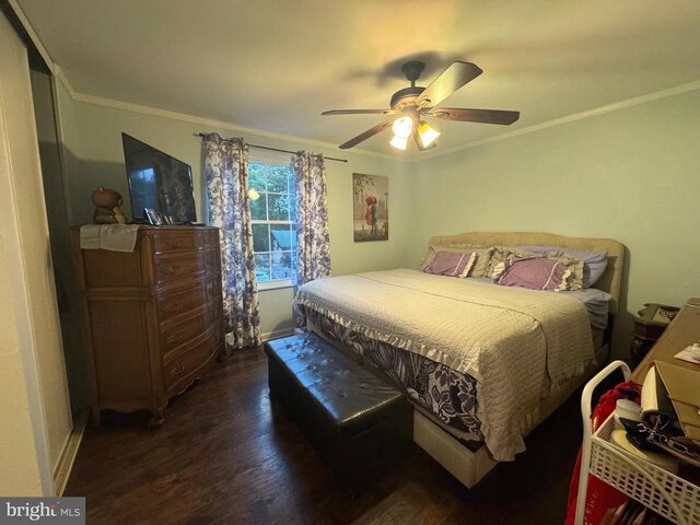 bedroom with dark wood-type flooring, ceiling fan, and ornamental molding