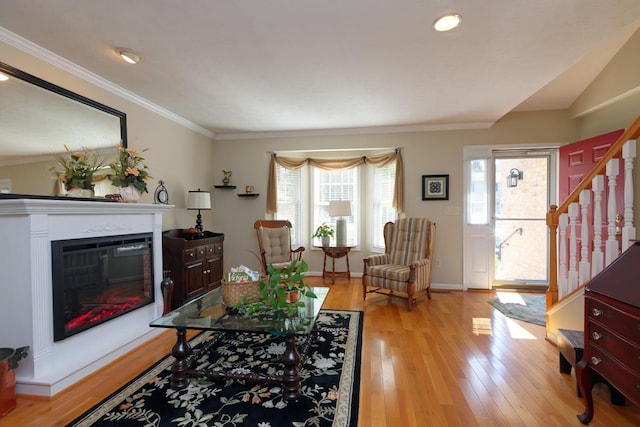 living room featuring crown molding and light hardwood / wood-style flooring