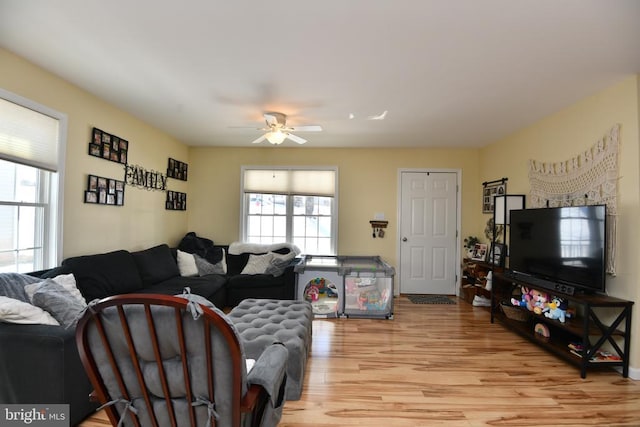 living room featuring ceiling fan and light hardwood / wood-style floors